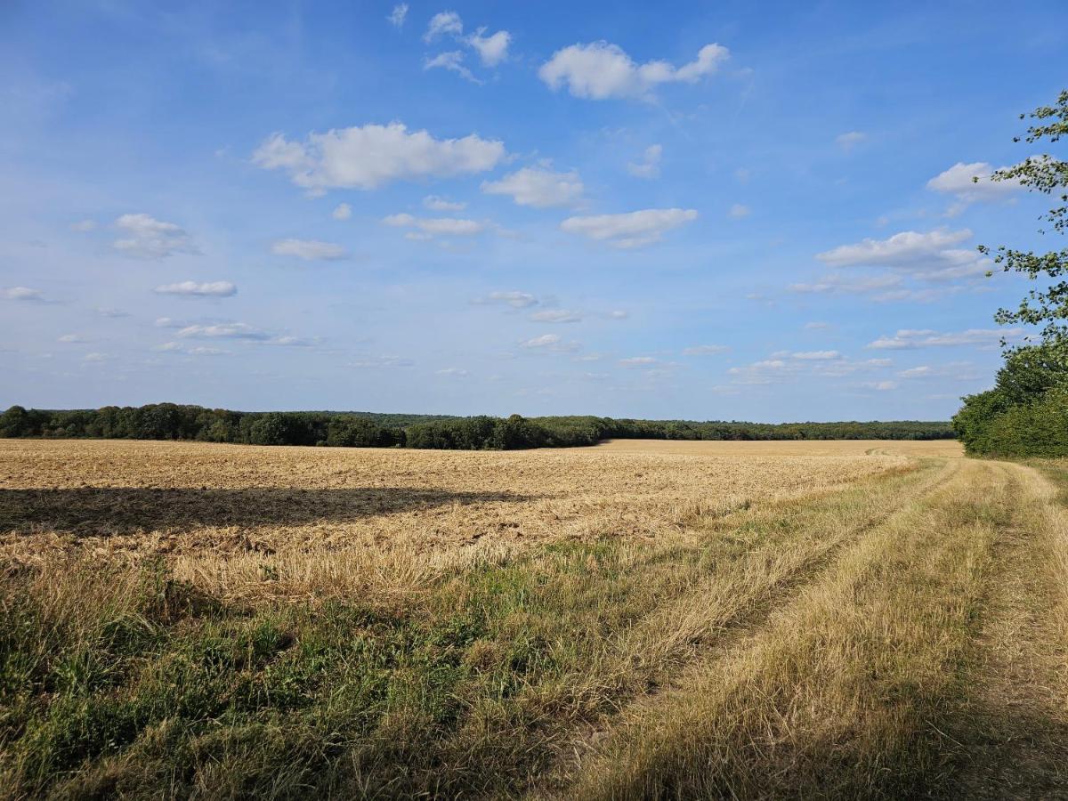 Вилла La Cle Des Champs Videlles Экстерьер фото